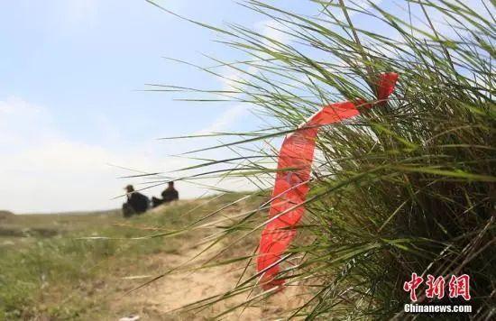 越野跑入门看这一篇就够了（越野跑血的代价之后）(5)