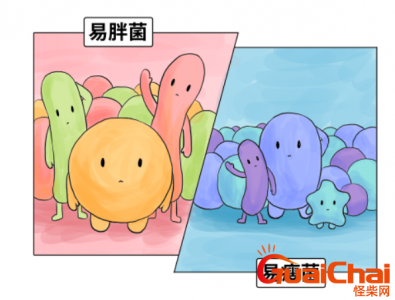 ​鍚冪槮瀛愮殑渚夸究鑳藉噺鑲ワ紵娌￠敊鏄湡鐨勶紒鏄撶槮鑲犻亾鑿岀兢鍙互璁
