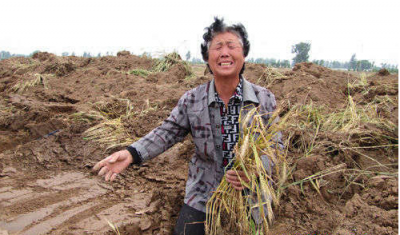 ​同样是养殖，为什么有人年赚几十上百万，有人却亏的血本无归？