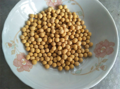​破壁机怎么打豆浆好喝？破壁机打豆浆怎么做好喝？