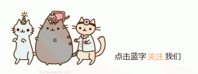 ​猫咪月龄与体重对照表 来