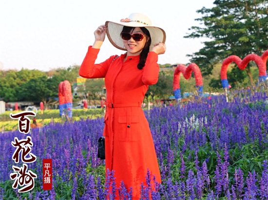 走进东莞松山湖 东莞周末好去处梦幻百花洲百花争艳，漫步薰衣草花海