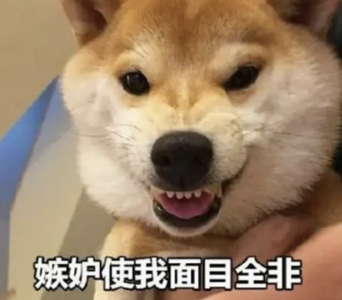 ​金泰熙rain资料介绍(智商高达148，白富美人生赢家！)