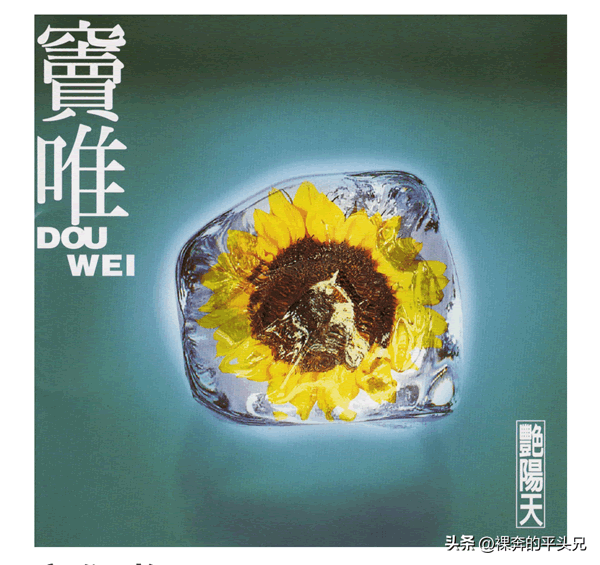 窦唯个人资料简介（窦唯是中国哪个摇滚队的队员）-