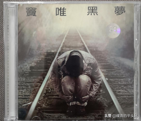 窦唯个人资料简介（窦唯是中国哪个摇滚队的队员）-