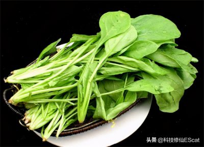 ​防辐射食物（吃菠菜防辐射  也没必要多吃菠菜）