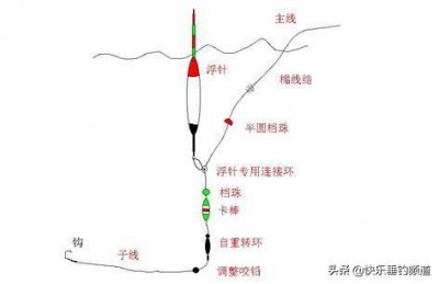 ​悬坠钓法巧钓鲫鱼，一级竞钓大师侯国庆能否一招致胜？