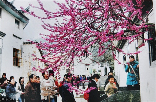 农村地区常说的“出五服”是什么意思？
