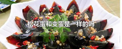 ​松花蛋和变蛋有什么不一样 松花蛋和变蛋的区别