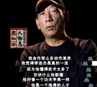 ​娱乐圈中的8位武英级高手：李连杰和赵文卓上榜，吴京和甄子丹榜上无名