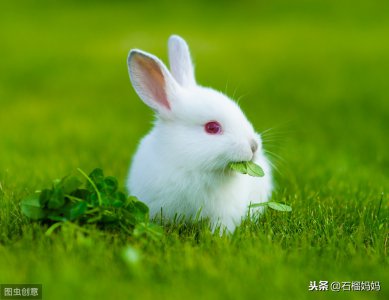 ​蓝精灵儿歌歌词大全（新手妈妈也能掌握的儿歌和歌谣精选）