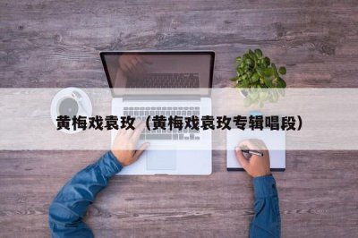 ​黄梅戏袁玫（黄梅戏袁玫专辑唱段）