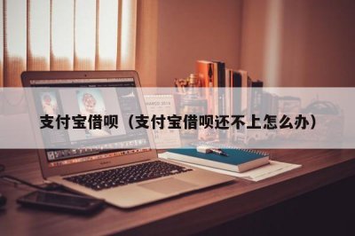 ​支付宝借呗（支付宝借呗还不上怎么办）