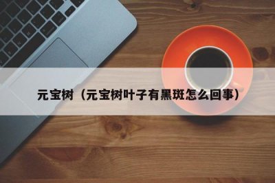 ​元宝树（元宝树叶子有黑斑怎么回事）