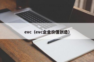 ​evc（evc企业价值创造）