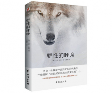 ​巴克是什么品种的狗（野性呼唤巴克是什么品种的狗）