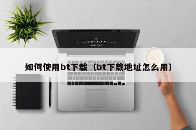​如何使用bt下载（bt下载地址怎么用）