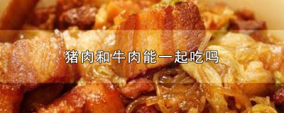 ​猪肉和牛肉能一起吃吗能包饺子吗 猪肉和牛肉能一起吃吗?