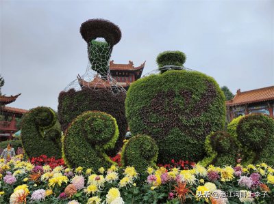 ​学生入团以后有什么好处 在校学生入团时间