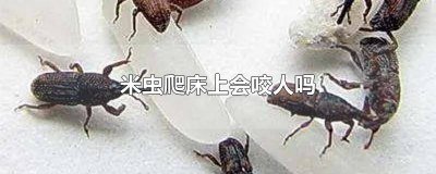 ​会跳会咬人的虫子 床上很小很小的虫子,不会跳,咬人很痒