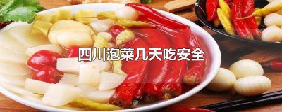 ​夏天做四川泡菜泡多久可以吃 四川泡菜要几天可以吃