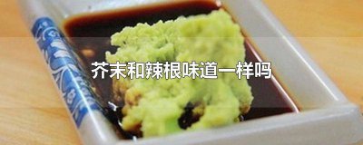 ​芥末和辣根味道一样吗图片高清 辣根和芥末味道一样么