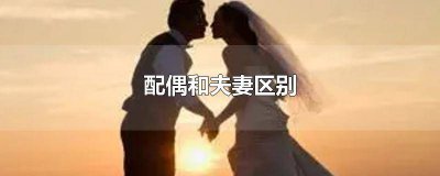 ​配偶和夫妻一样吗 配偶跟妻有什么区别