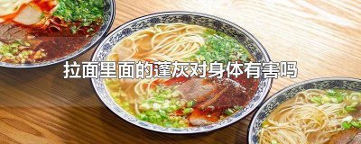 ​蓬灰拉面剂对人有没有害处 拉面蓬灰放多了会怎样
