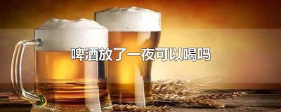 ​放了一夜的啤酒能喝吗 啤酒放了一晚上能喝吗