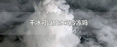 ​干冰能放入冰箱冷冻吗 干冰能放在冰箱里冷冻吗