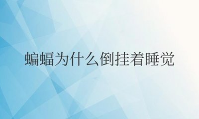 ​蝙蝠为什么倒挂着睡觉不掉