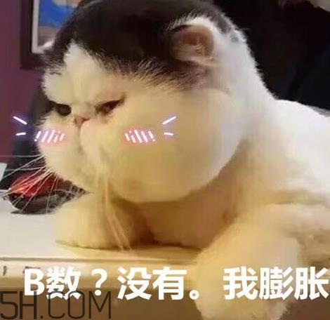 b数没有我膨胀什么意思？b数没有我膨胀表情包