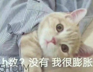 ​b数没有我膨胀什么意思？b数没有我膨胀表情包