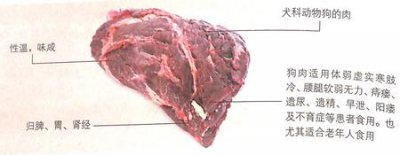 ​冬至期间狗肉能调整血压,改善性功能