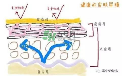 外油内干的皮肤怎么护理 先补水还是先控油