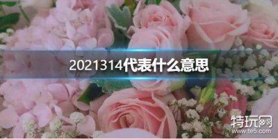 ​2021314代表什么意思 2021314意思介绍