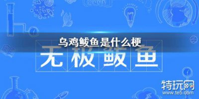 ​乌鸡鲅鱼是什么梗 乌鸡鲅鱼是什么意思啊