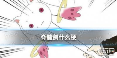 ​脊髓剑什么意思 xxx脊髓剑梗来源出处