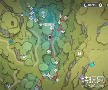 ​原神树王圣体菇怎么采集 树王圣体菇采集路线分享