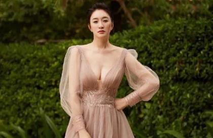 娱乐李小冉个人资料,李小冉结婚生宝宝了吗老公是谁  1