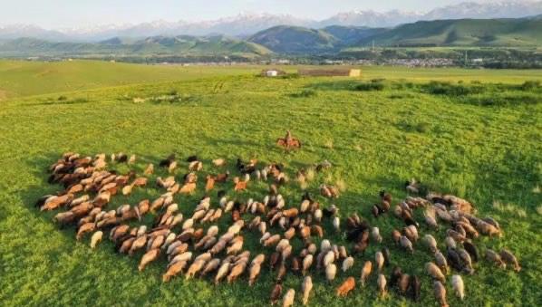 十大什么省陆地面积最大（新疆陆地面积有多大）  2