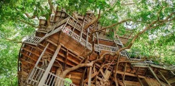 十大世上最大的树屋你敢住吗（最大的树屋长什么样子）  3
