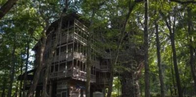 ​世上最大的树屋你敢住吗（最大的树屋长什么样子）