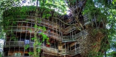​世界上最大的树屋在哪（最大的树屋到底有多大）