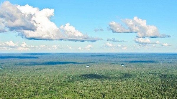 十大亚马孙平原是世界上最大的(面积达560万平方千米)  1