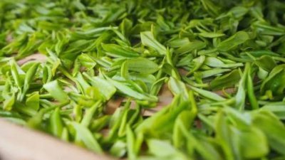​哪些食物减肥效果好（减肥必吃的4种食物）