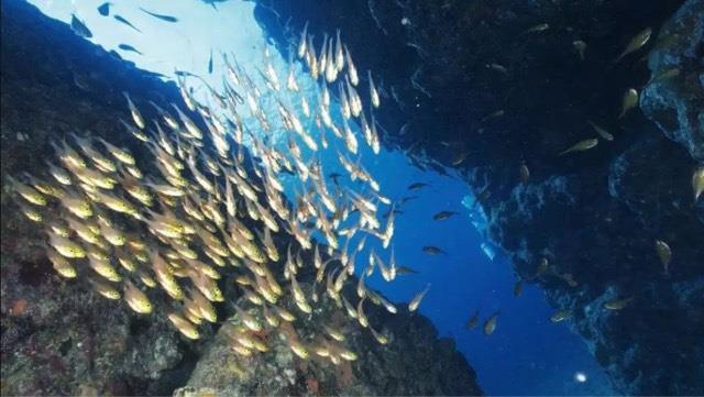十大世界上最长的海沟秘鲁智利海沟(长度大约为5900公里)  1