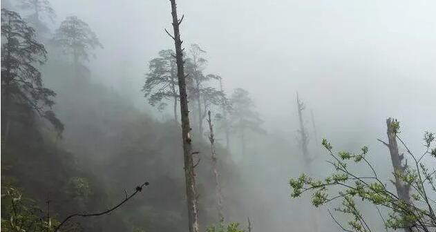十大世界四大无人区是哪几个（世界四大无人区分别是什么地方）  3