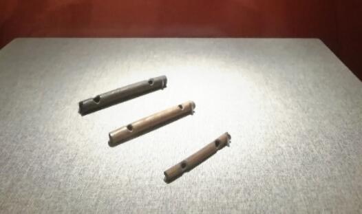 十大世界上最古老的乐器是什么（骨哨是在哪里发现的）  2