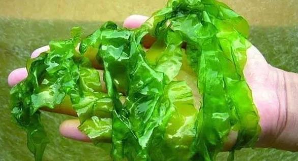 十大十大高钙食物排行榜（哪些食物补钙效果好）  2